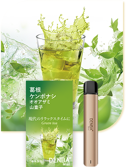 DENBA Mistの紹介