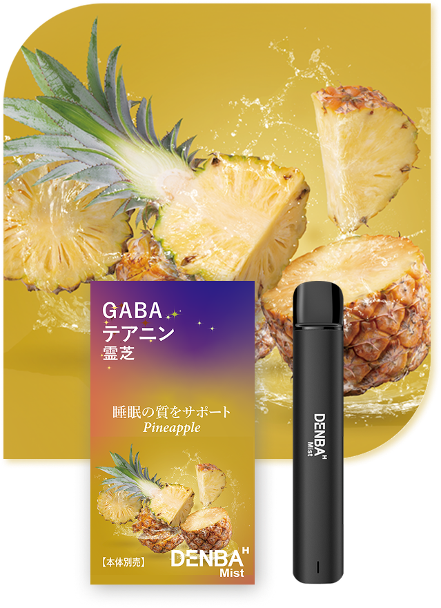 DENBA Mistの紹介