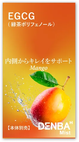 マンゴーのパッケージ
