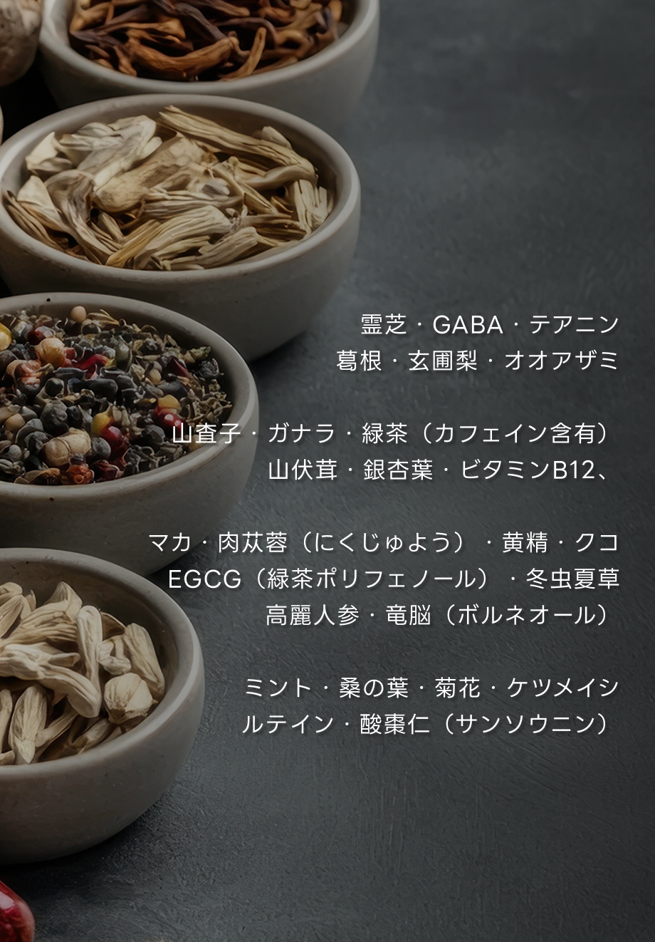 成分の紹介SP